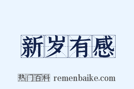 新岁有感是什么意思的图片